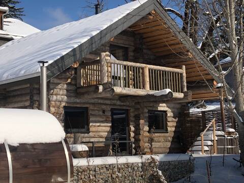 Welcoming chalet with terrace and Nordic bath