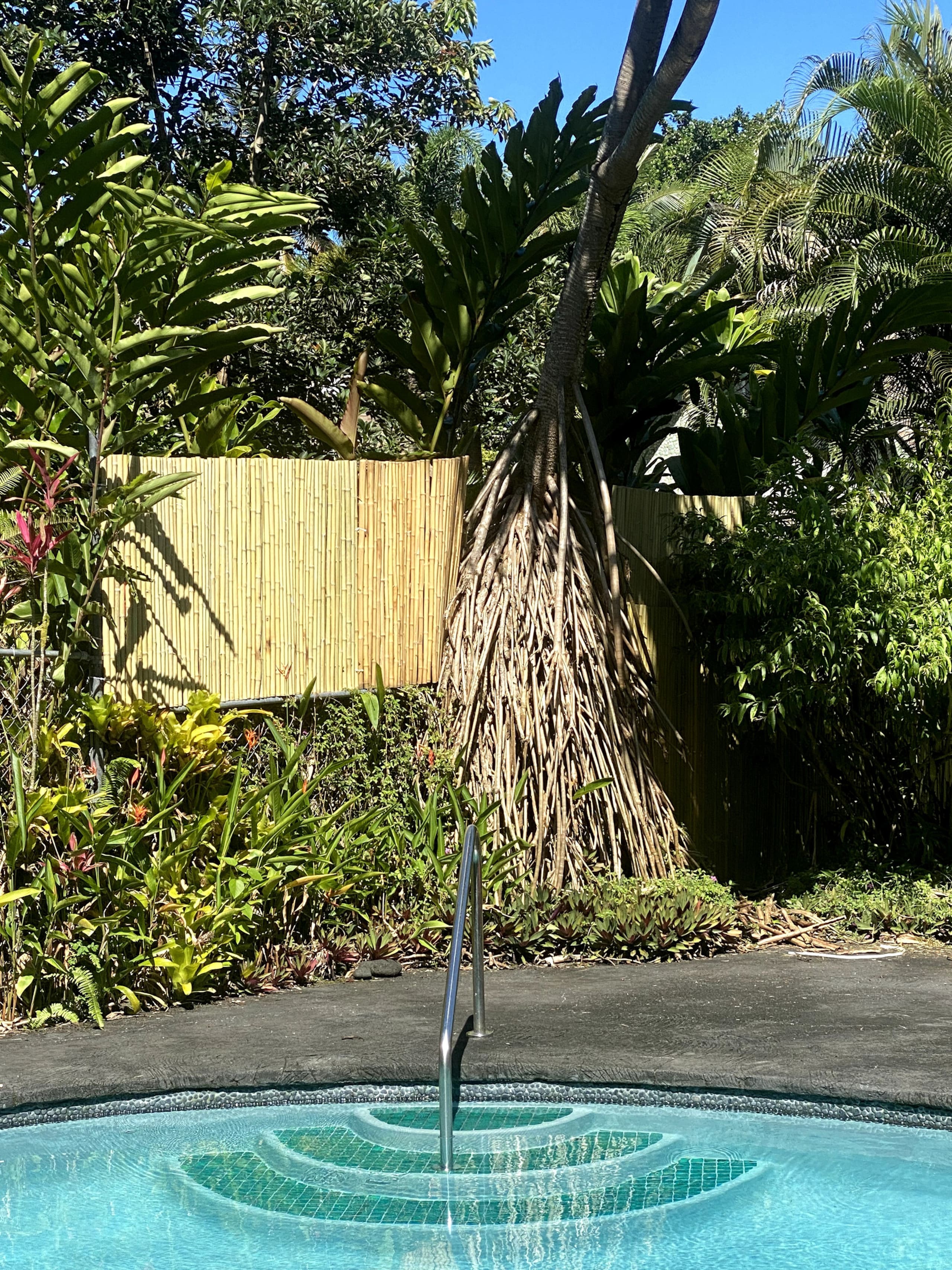 Home in Pahoa · ★4.93 · 1 bedroom · 1 bed · 1.5 baths - Image 28