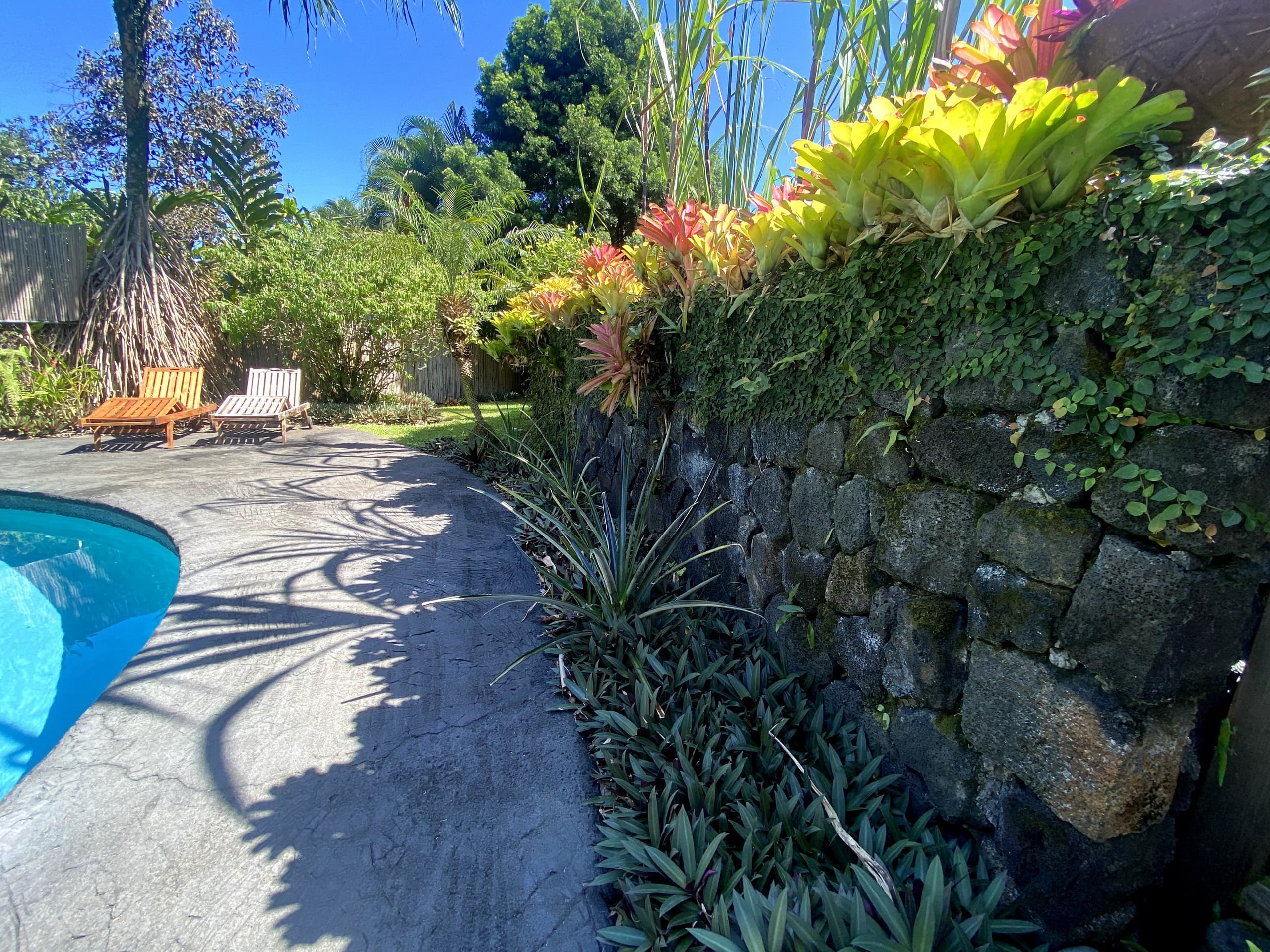 Home in Pahoa · ★4.93 · 1 bedroom · 1 bed · 1.5 baths - Image 34