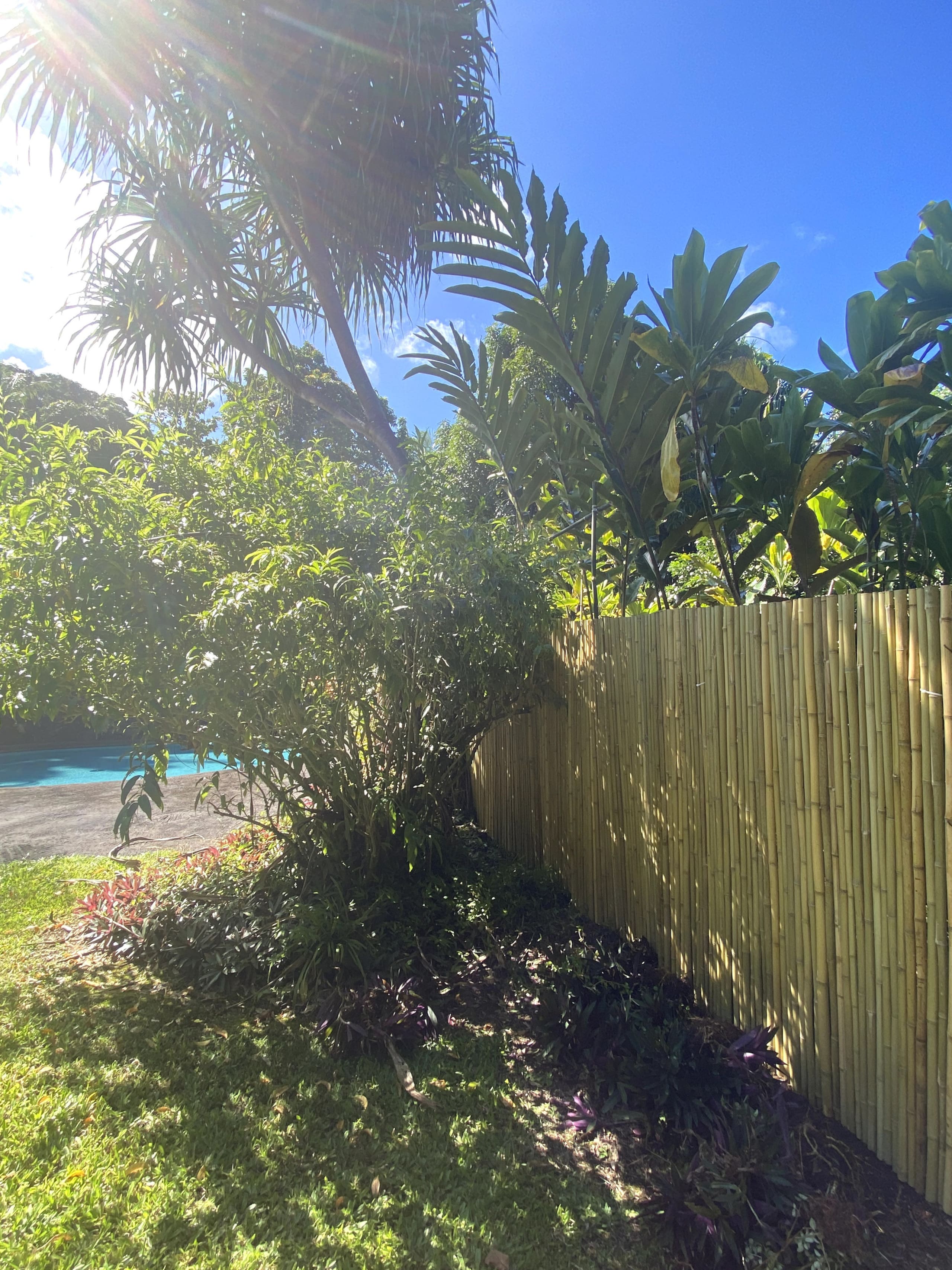 Home in Pahoa · ★4.93 · 1 bedroom · 1 bed · 1.5 baths - Image 29