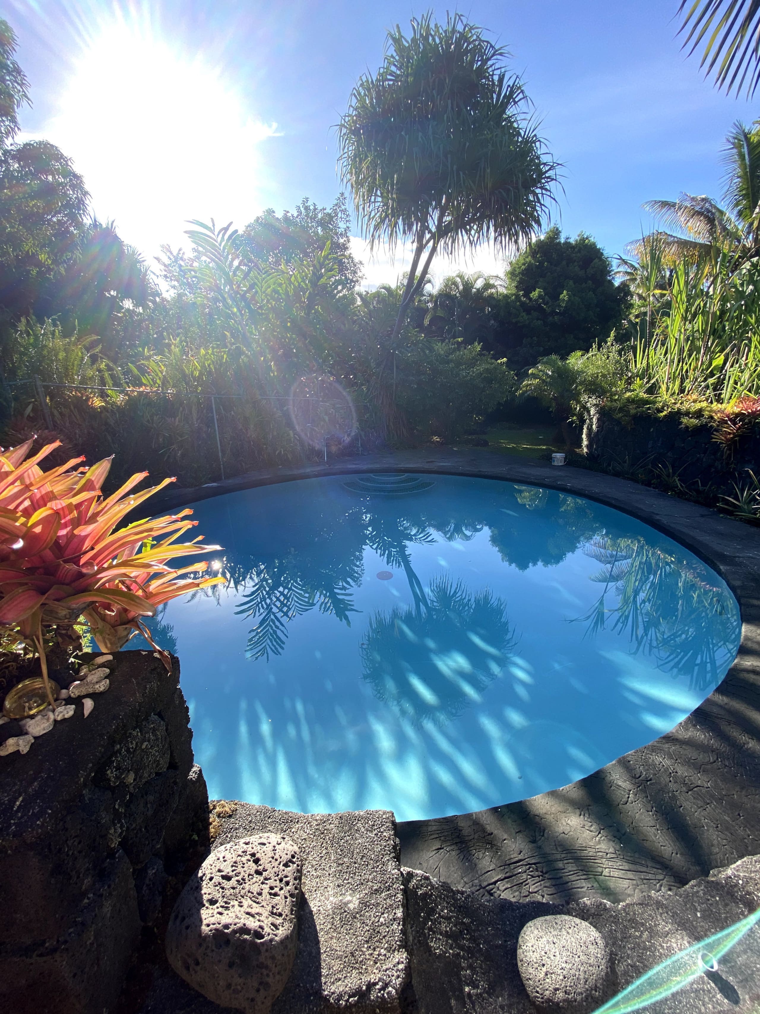 Home in Pahoa · ★4.93 · 1 bedroom · 1 bed · 1.5 baths - Image 41