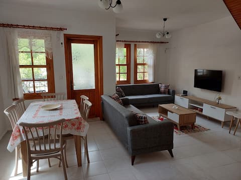 Popular Airbnb listing: Villa Demir in Ortaca
