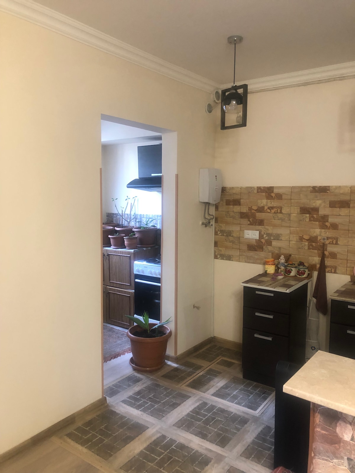 A compact kitchen area is visible, featuring dark cabinets and a neutral stone backsplash. An open archway leads into a light-filled space with plants. A small potted plant is placed by the entrance, enhancing the kitchen's homey feel.