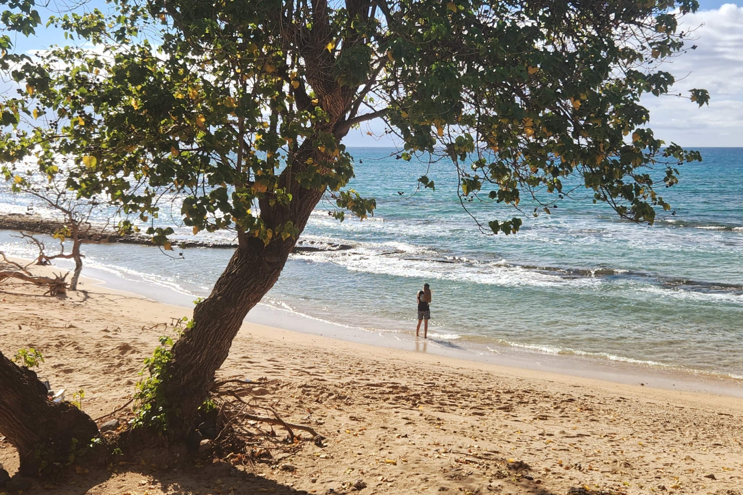 Condo in Lahaina · ★4.6 · 1 bedroom · 1 bed · 1 private bath - Image 1