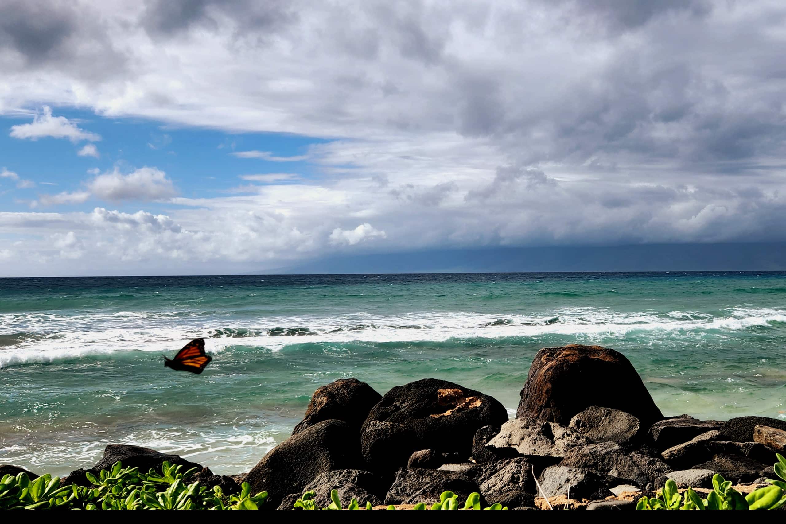 Condo in Lahaina · ★4.6 · 1 bedroom · 1 bed · 1 private bath - Image 2