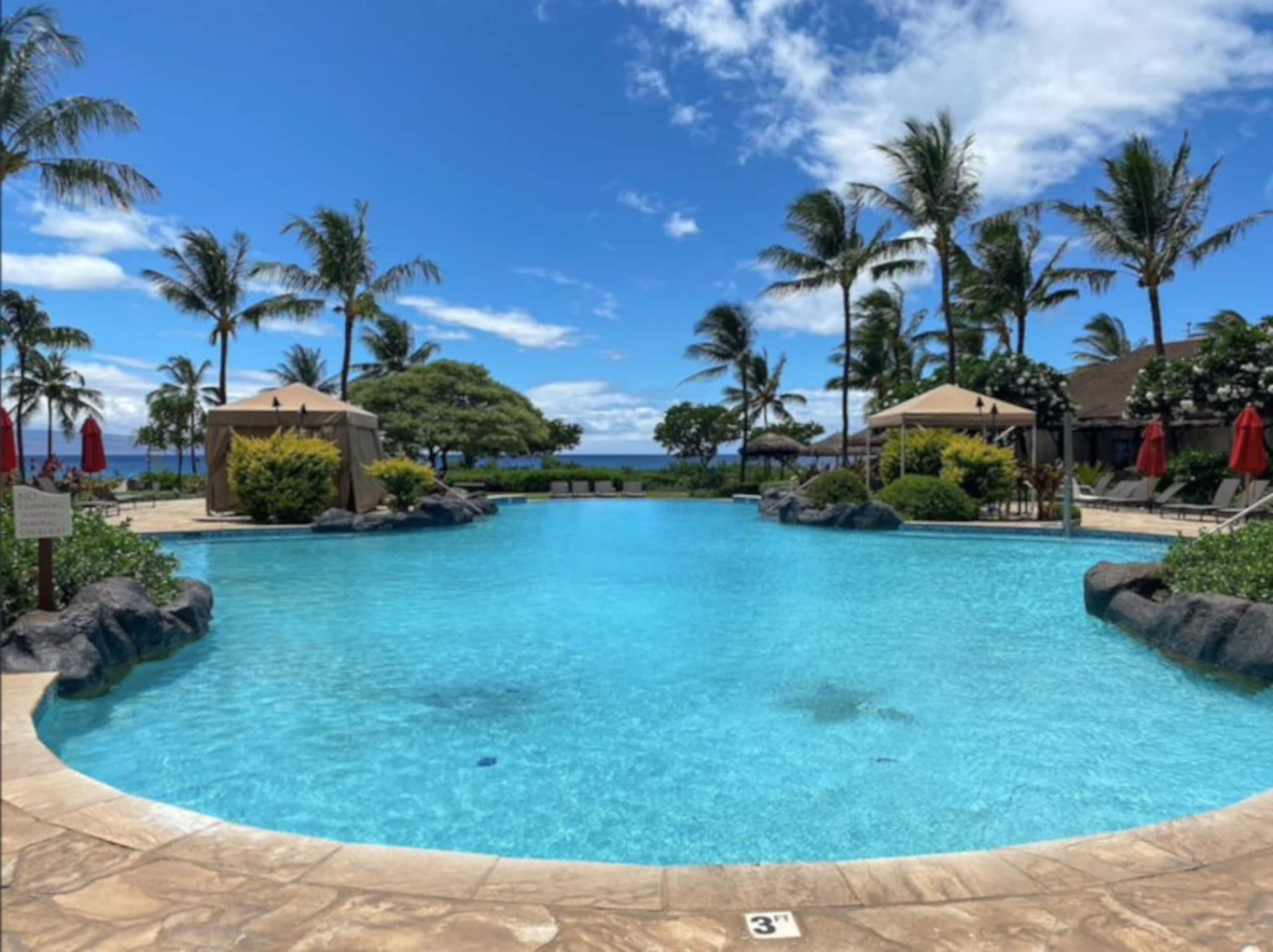 Condo in Lahaina · ★4.82 · 1 bedroom · 1 bed · 1 bath - Image 23
