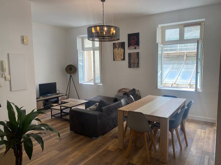 superb t2 in Haussmannian building Apartments for Rent in Narbonne