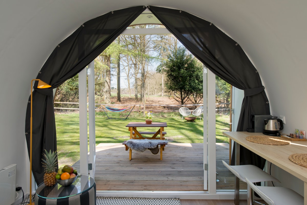 An entrance is framed by elegant curtains, leading to a deck with a picnic table. The outdoor area is visible, showcasing green grass and a hammock beneath trees. A kettle is placed on a countertop, alongside decorative elements such as fresh fruits.