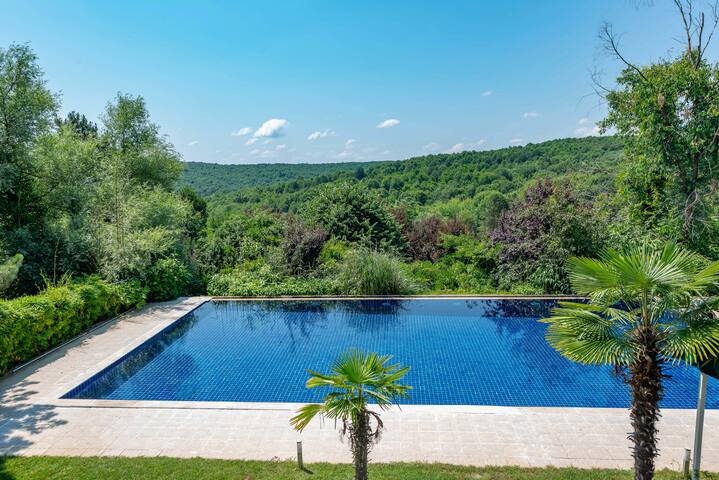 Private 500 m2 villa in 5 arce land gallery image 2