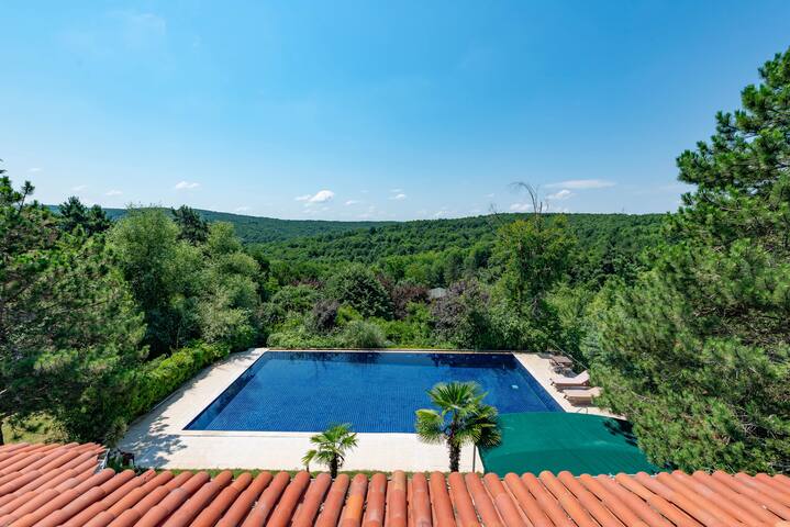 Private 500 m2 villa in 5 arce land gallery image 5