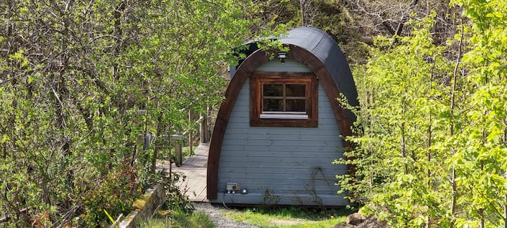 The Woodland Canopy photo 2