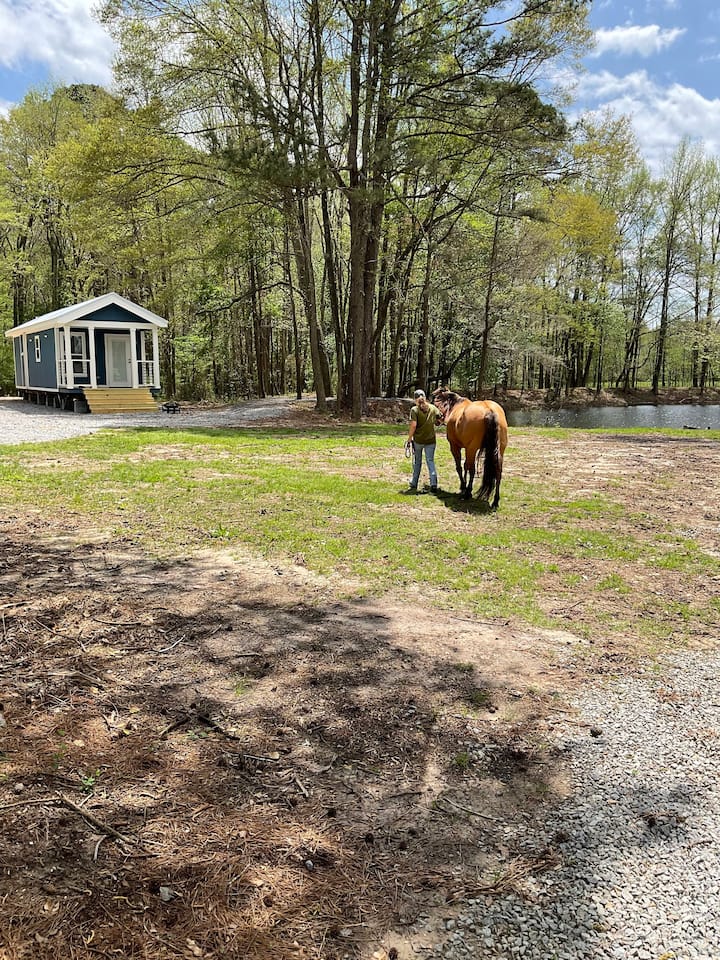 Benton Vacation Rentals & Homes Arkansas, United States Airbnb