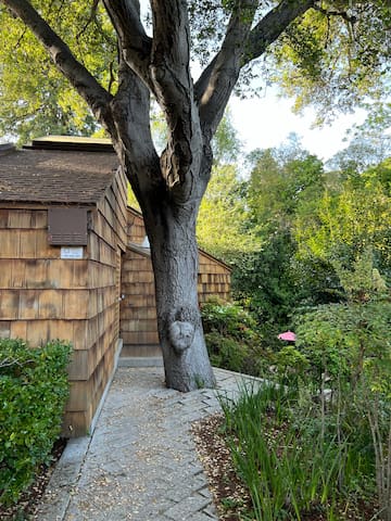 A Rockridge oasis steps from the center of it all gallery image 4