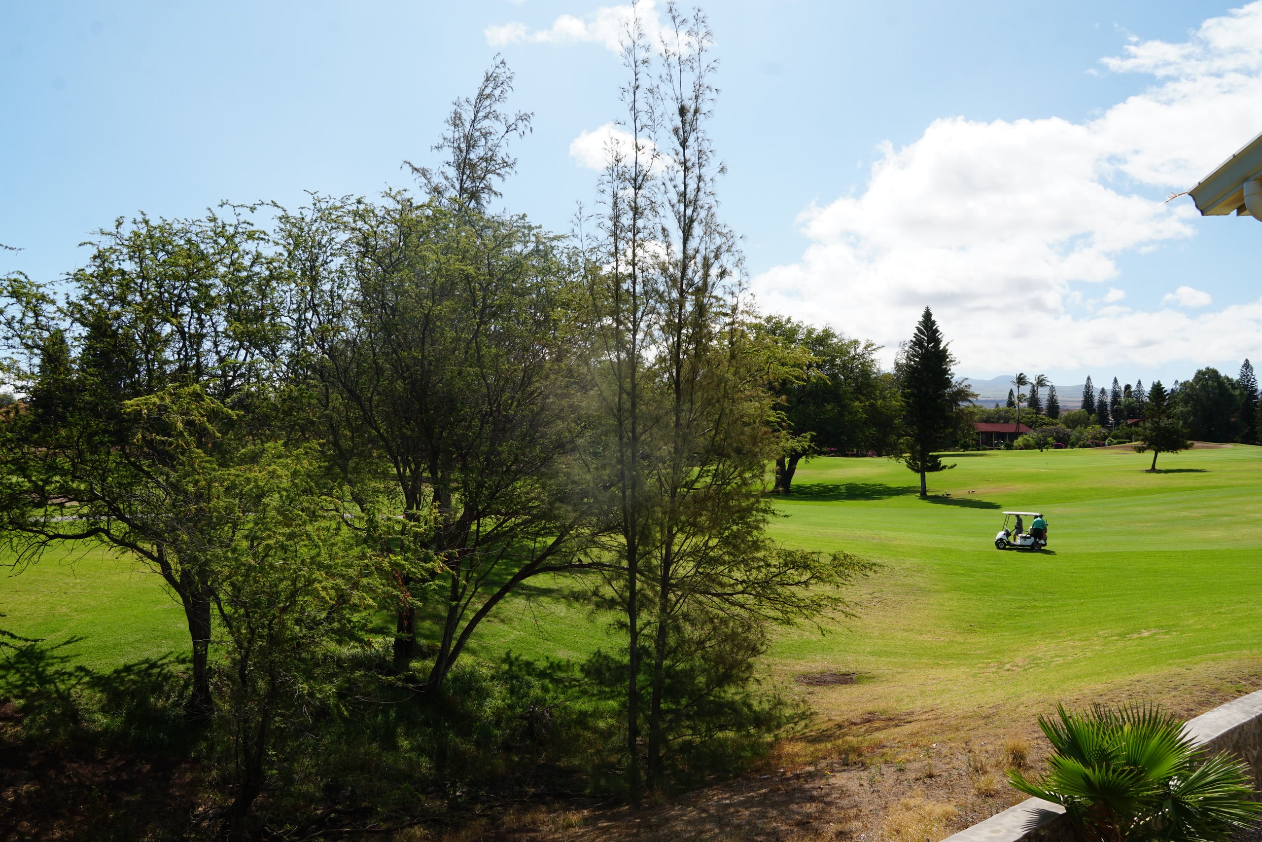 Corner Lanai, Golf Views, Pool, Top 10% Island - Photo 23