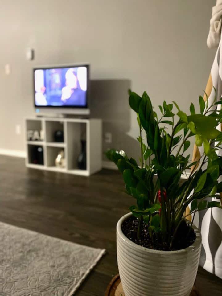 North Dallas Vacation Rentals & Homes Dallas, TX Airbnb