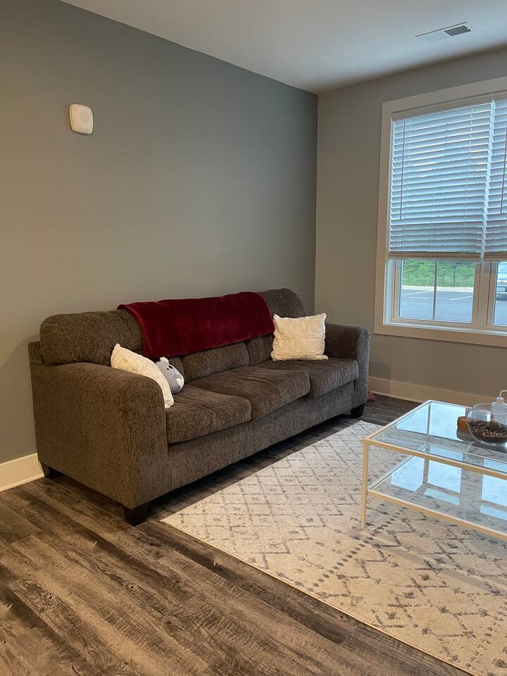 Lovely 1bedroom rental with pool and gym access Appartements à louer