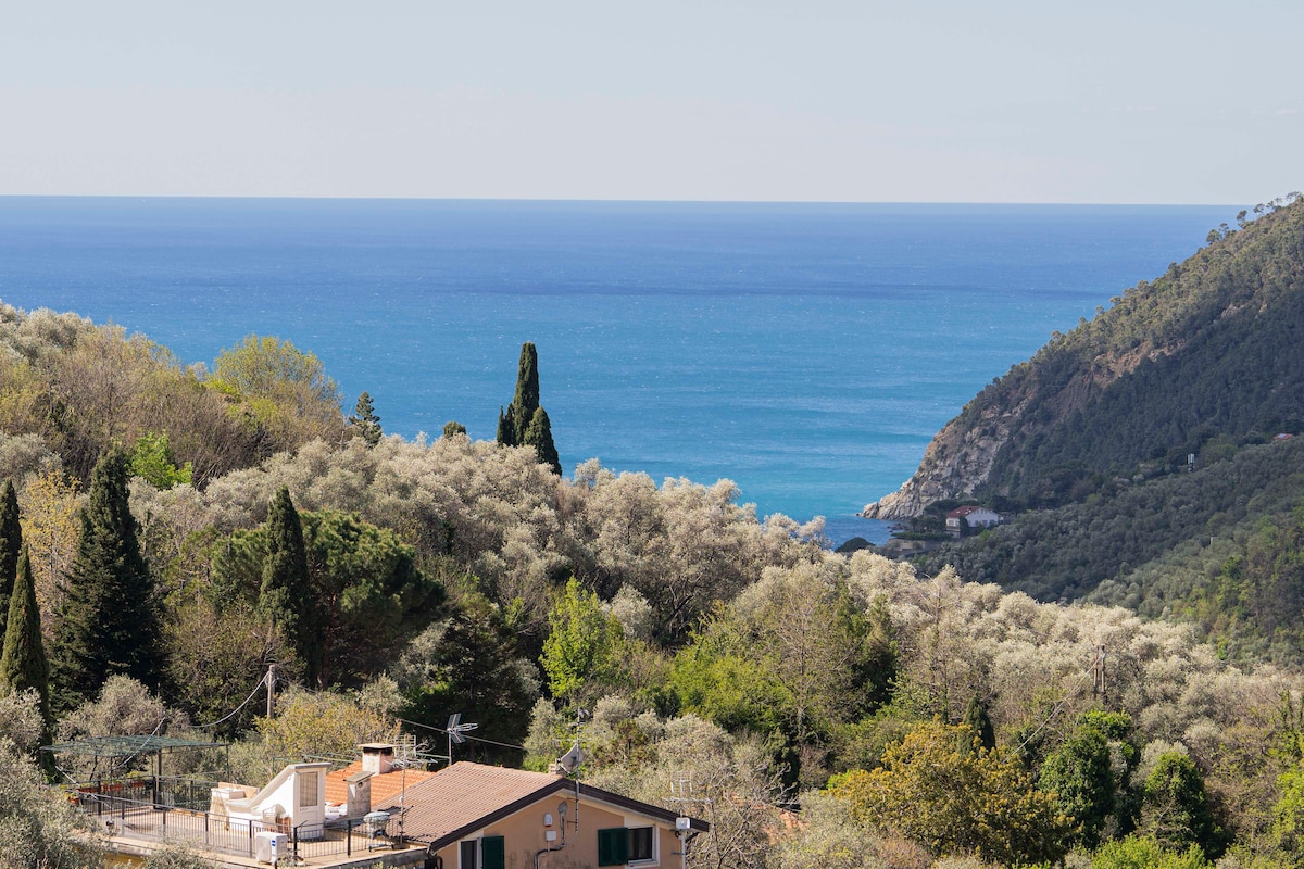 A panoramic view of the sea is captured, showcasing vibrant blue waters meeting the horizon. The landscape features lush green hills and olive trees, enhancing the natural beauty of the surroundings. In the distance, a hint of coastal structures is visible among the foliage.