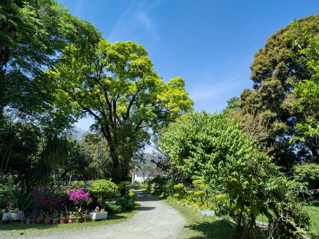 listing_image