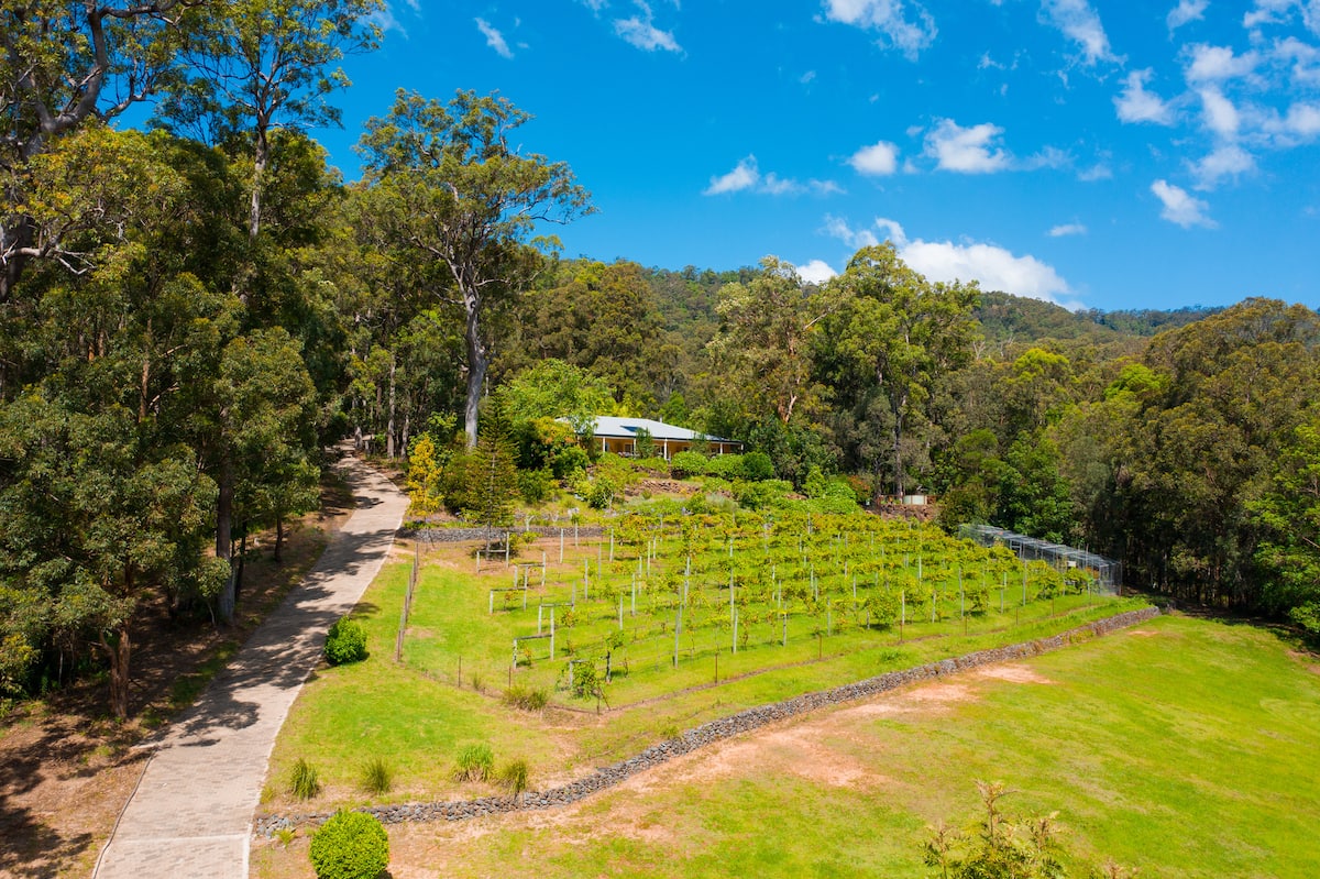 Amazing views from private suite — photo via the host's Airbnb listing