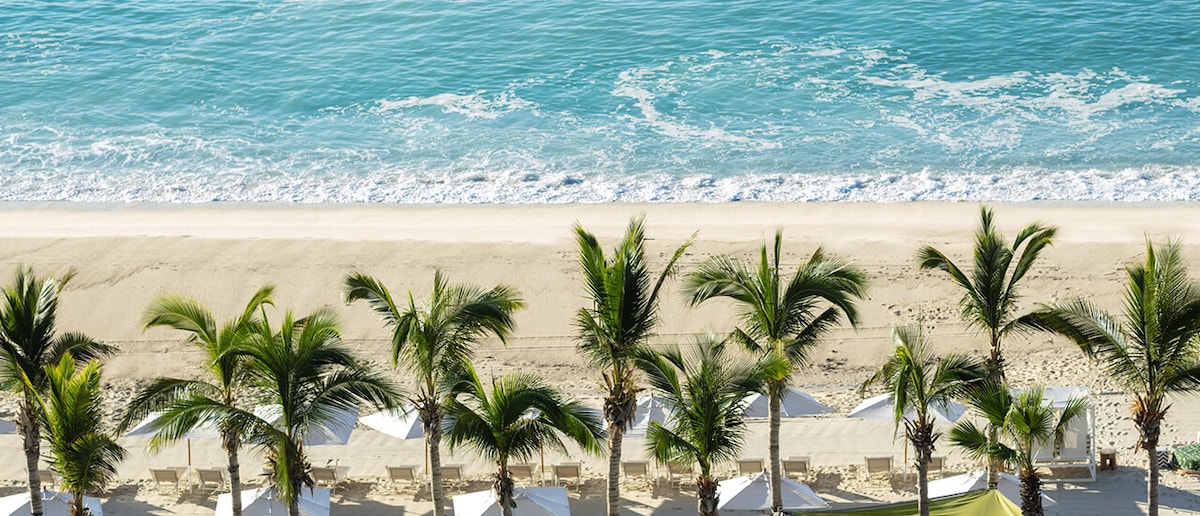 The image presents a sandy beach framed by palm trees, with loungers and umbrellas positioned neatly along the shore. Gentle waves can be seen lapping against the beach, creating a soothing coastal scene under clear skies.