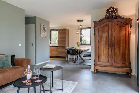 Luxury holiday home with airconditioners and sauna, near lake!