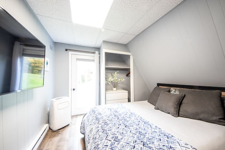 Camera da letto matrimoniale con TV Roku da 55 pollici.  Gratis Disney+, Hulu e ESPN+.  Ha una cassettiera e vestiti appesa un'asta.  