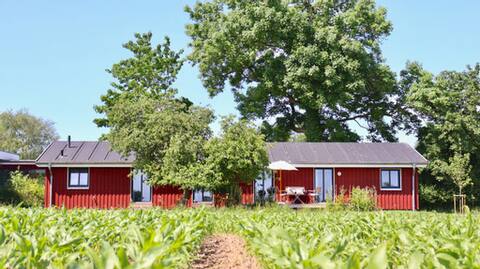 Scandinavian country house with views over fields