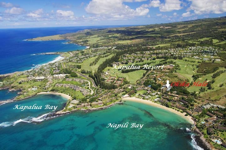 Awesome Beach Home – Elegant 3 bed w AC – Families gallery image 2