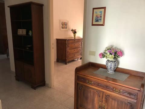 Garden view apartment, convenient station