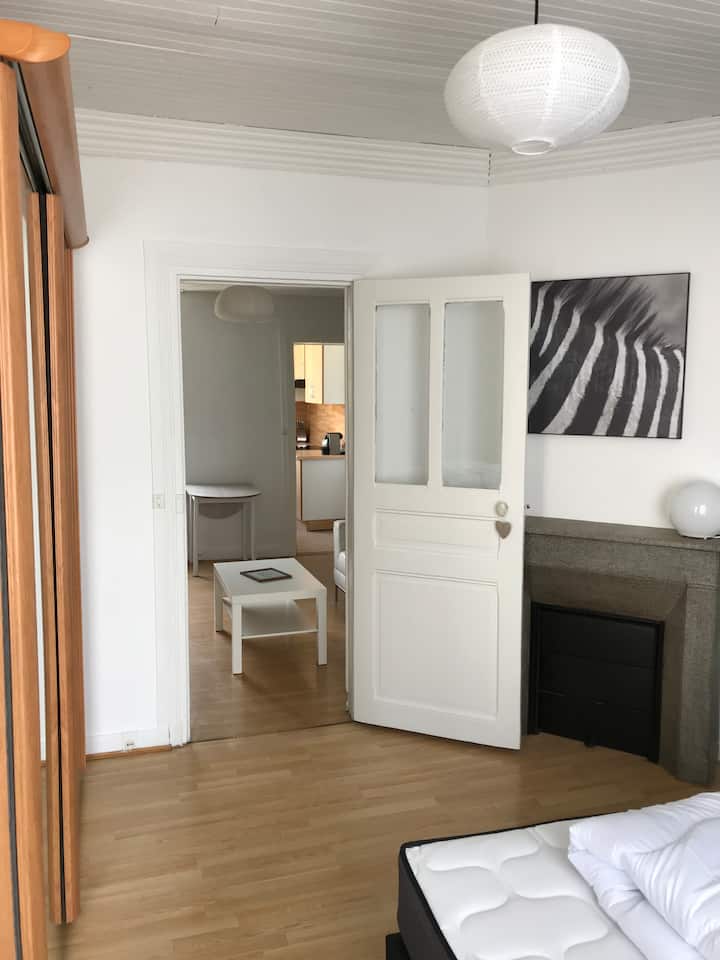 Entire apartment Reims COZY 35 m2 BRIGHT Apartments for Rent in Reims
