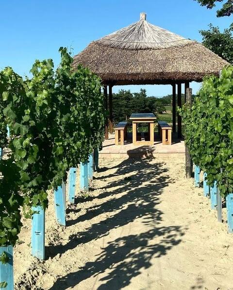 Scenic winery house with tasting cellar & hottub
