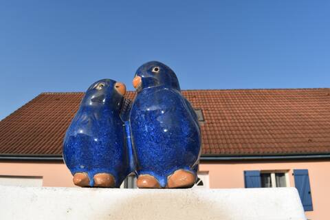 Gite " Les polins bleus"
