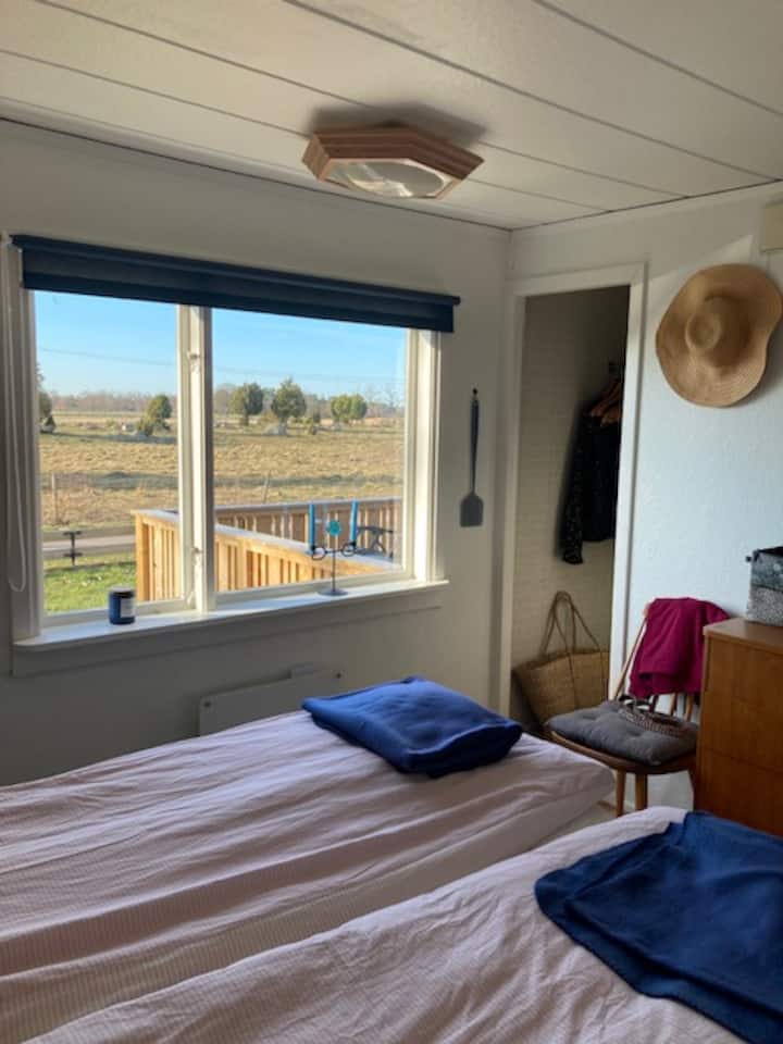 Vista dalla camera principale.