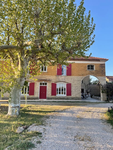 Domaine du Haut Débat in the heart of its vineyard