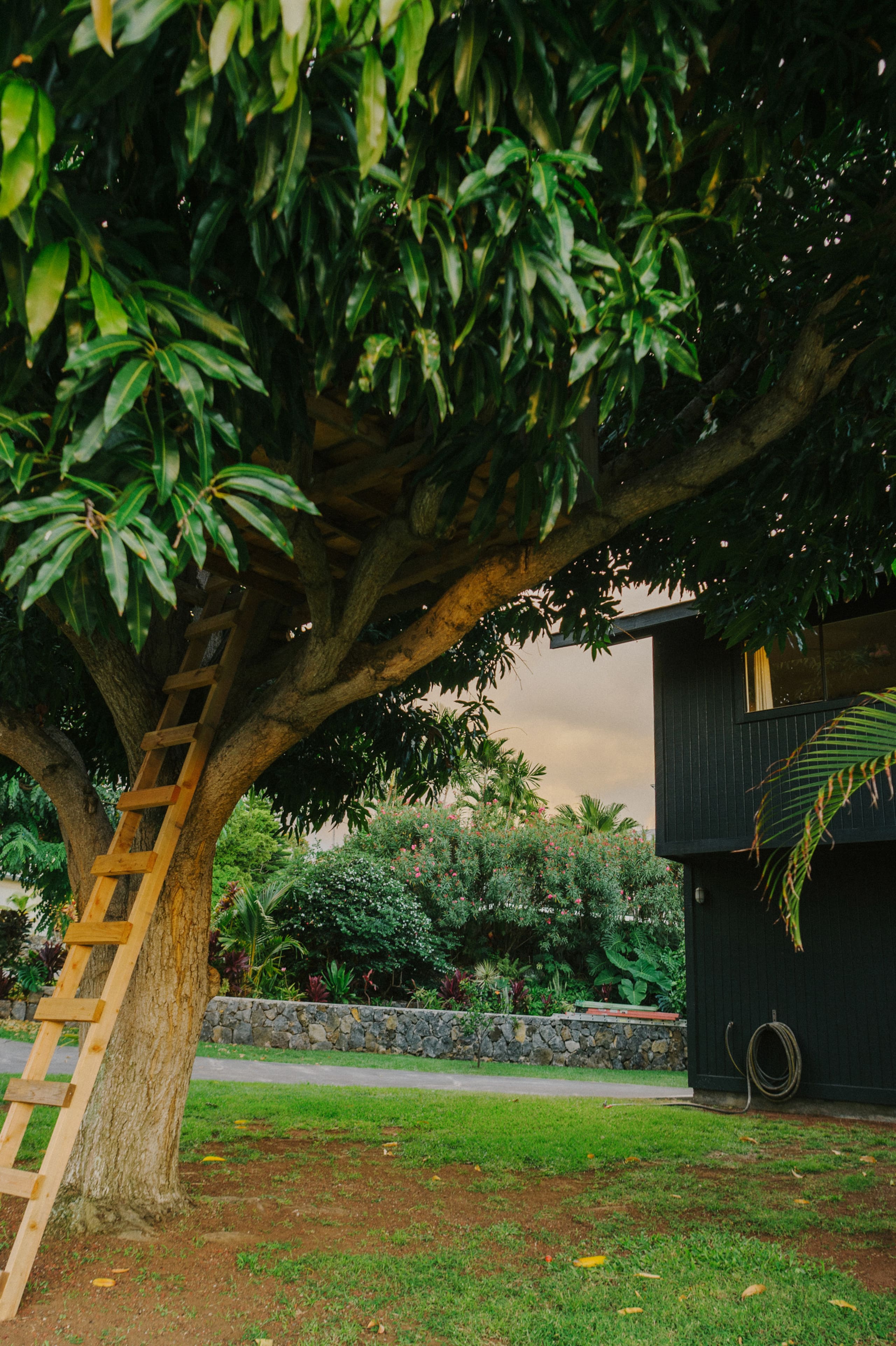 Home in Kailua-Kona · ★4.98 · 3 bedrooms · 4 beds · 3.5 baths - Image 60
