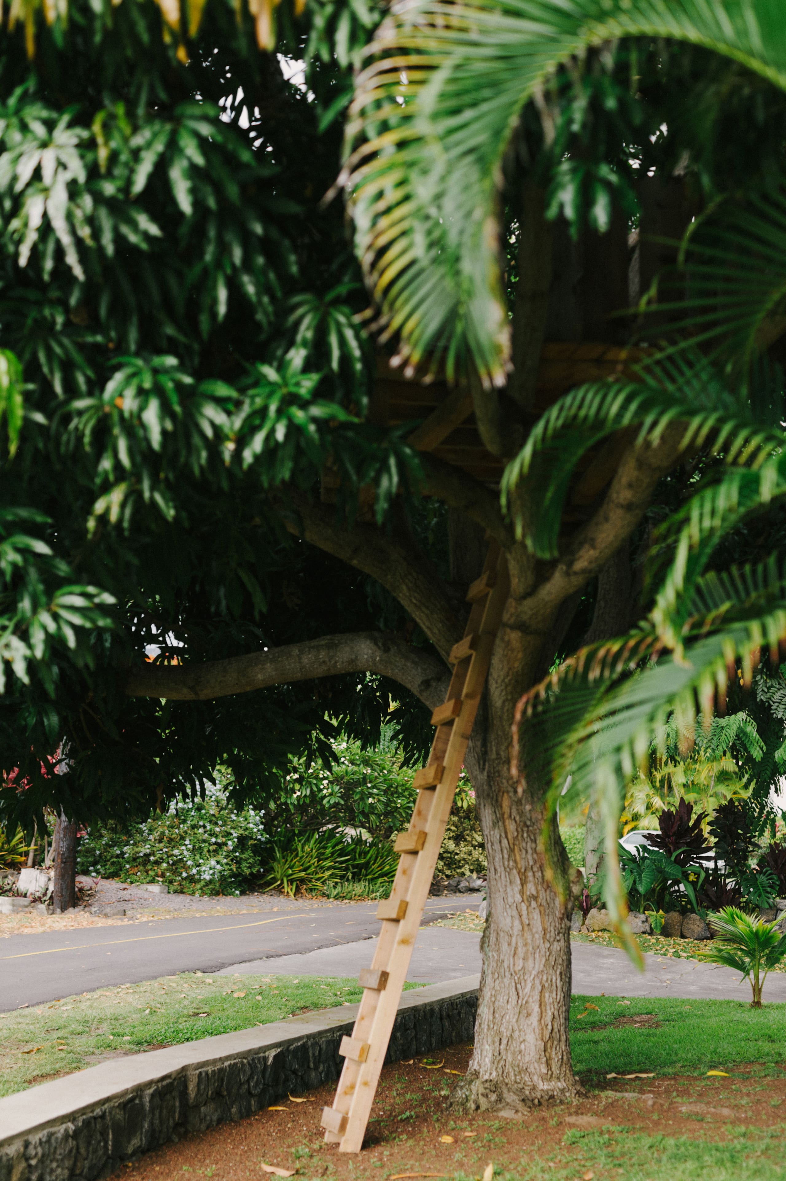 Home in Kailua-Kona · ★4.98 · 3 bedrooms · 4 beds · 3.5 baths - Image 50