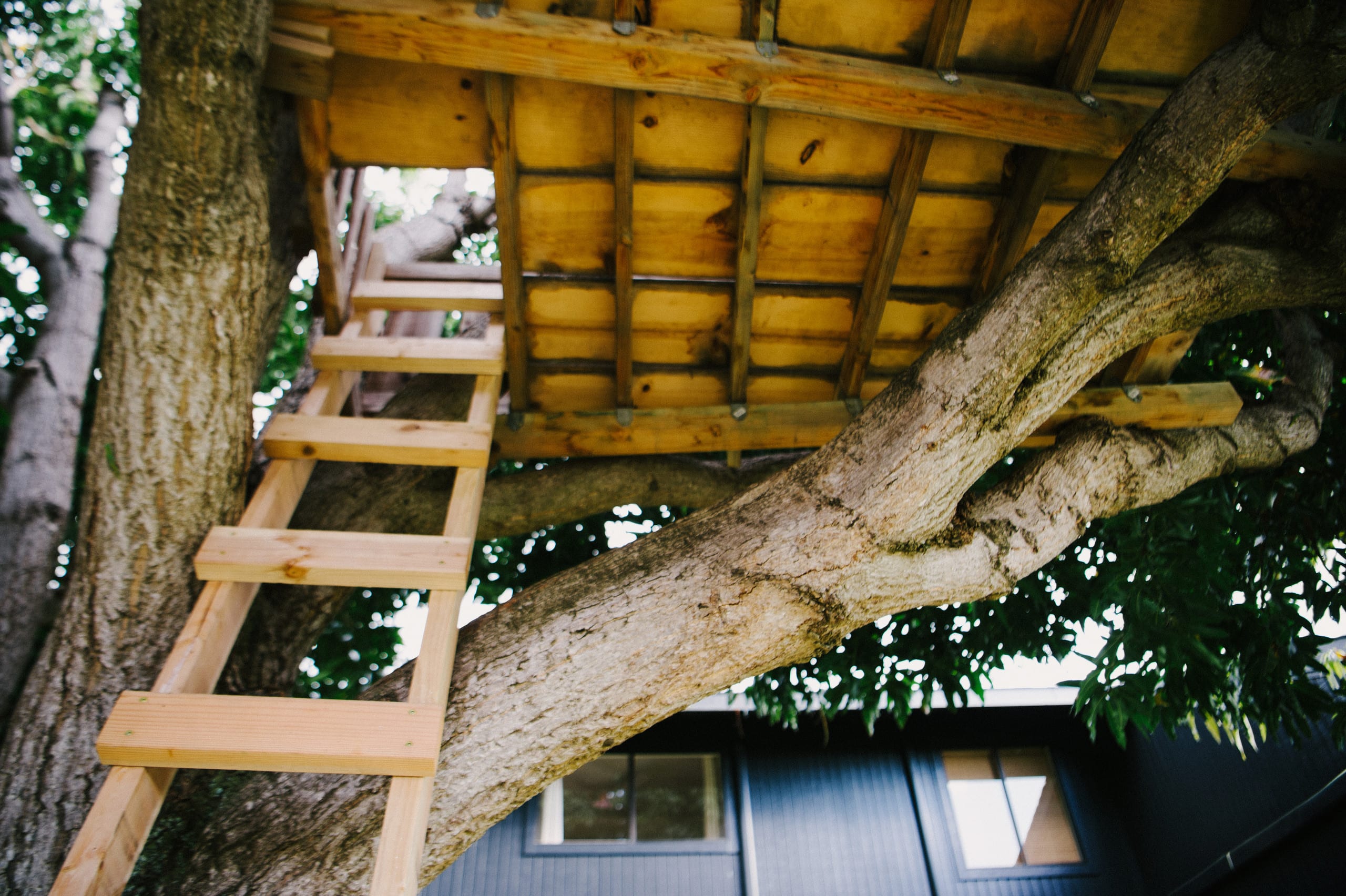 Home in Kailua-Kona · ★4.98 · 3 bedrooms · 4 beds · 3.5 baths - Image 49