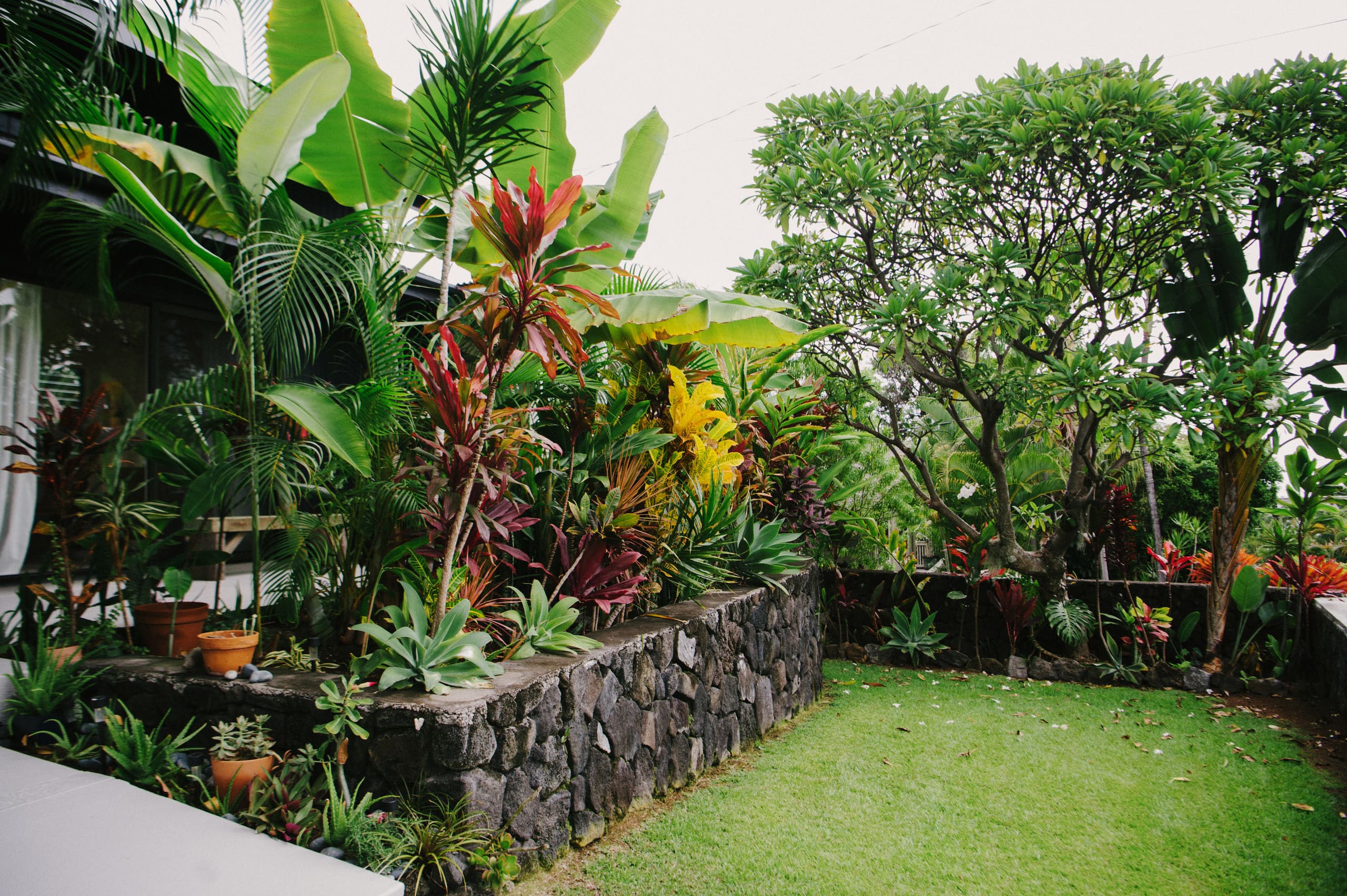 Home in Kailua-Kona · ★4.98 · 3 bedrooms · 4 beds · 3.5 baths - Image 55