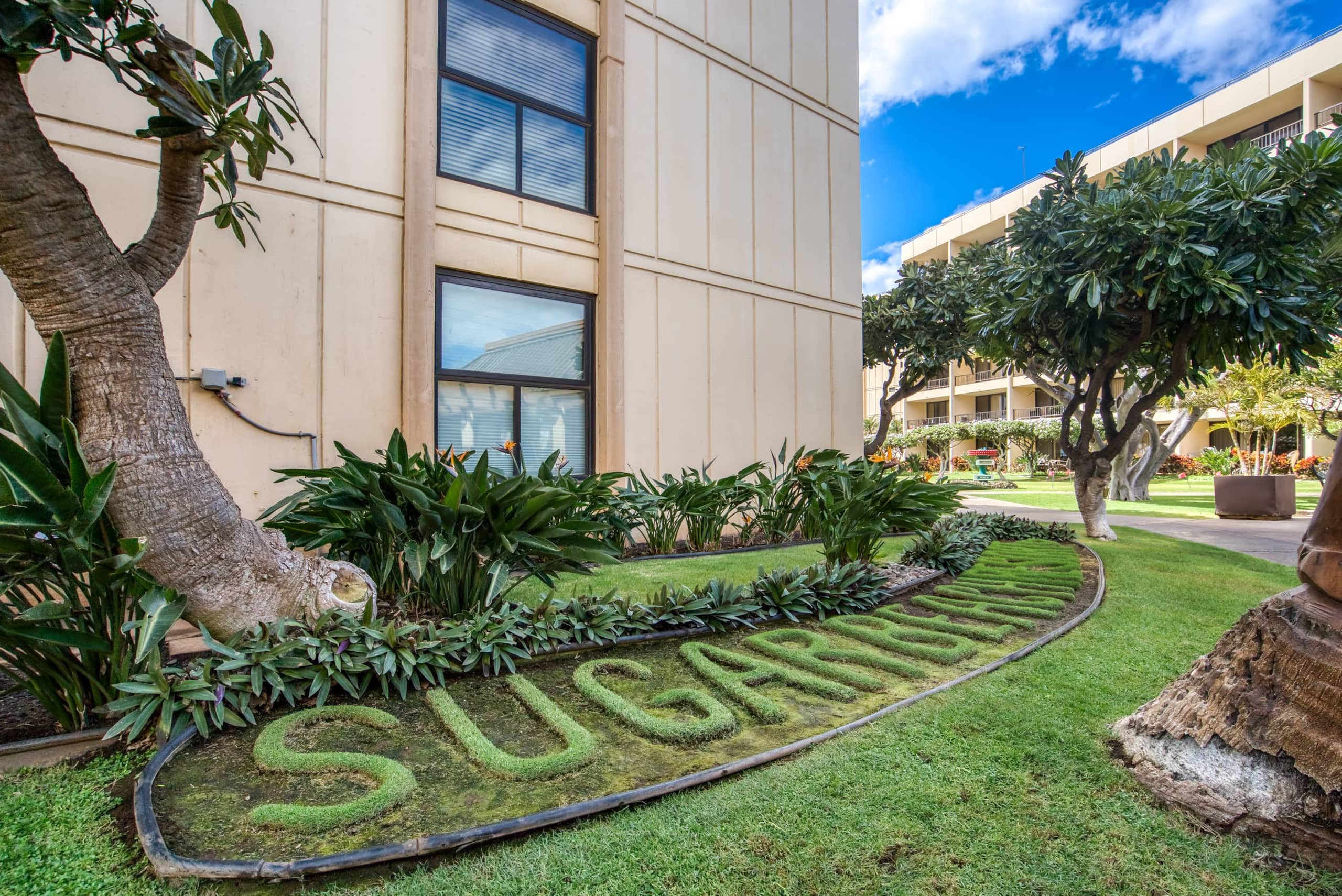 Condo in Kihei · ★4.94 · 1 bedroom · 2 beds · 1 bath - Image 37