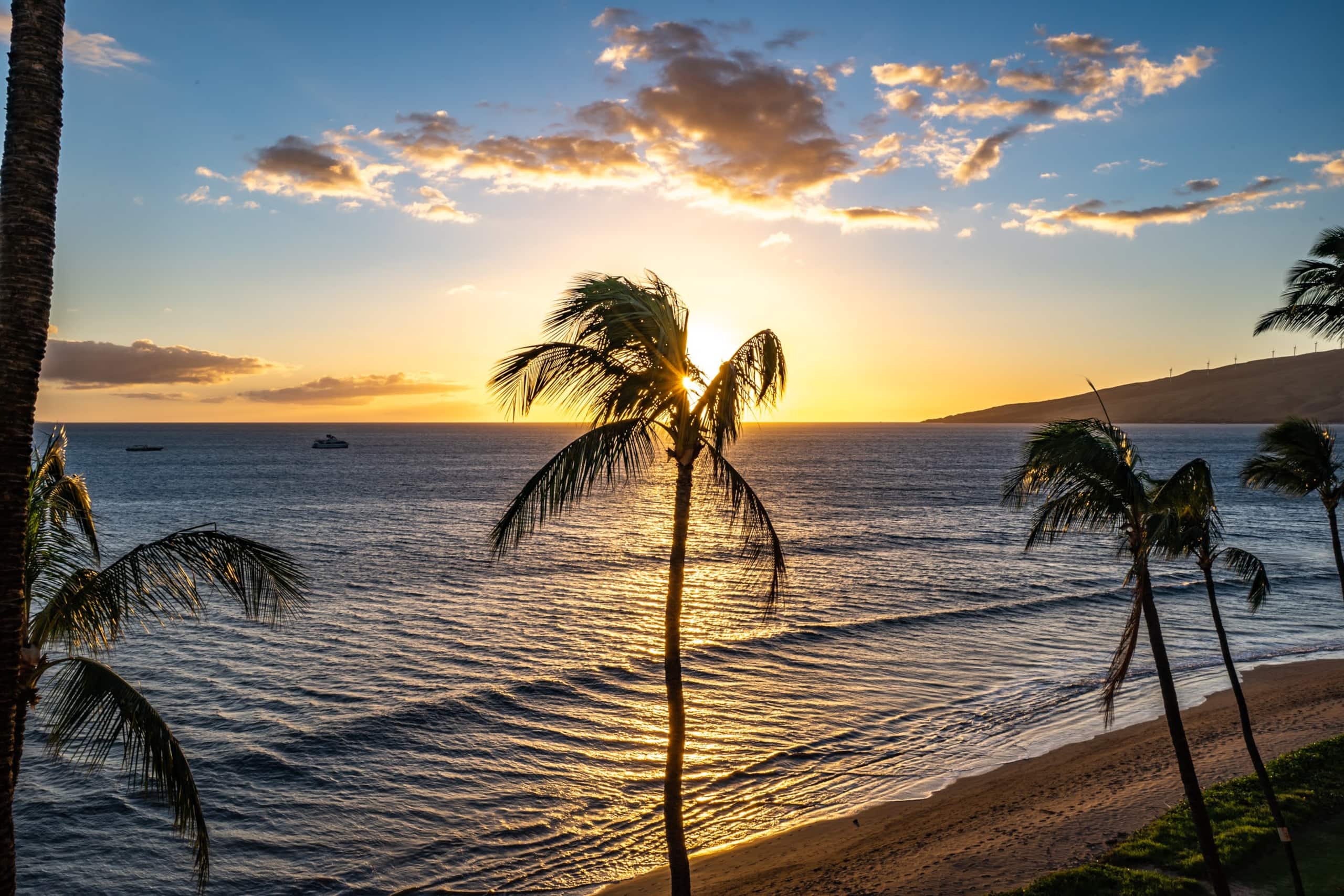 Condo in Kihei · ★4.94 · 1 bedroom · 2 beds · 1 bath - Image 28