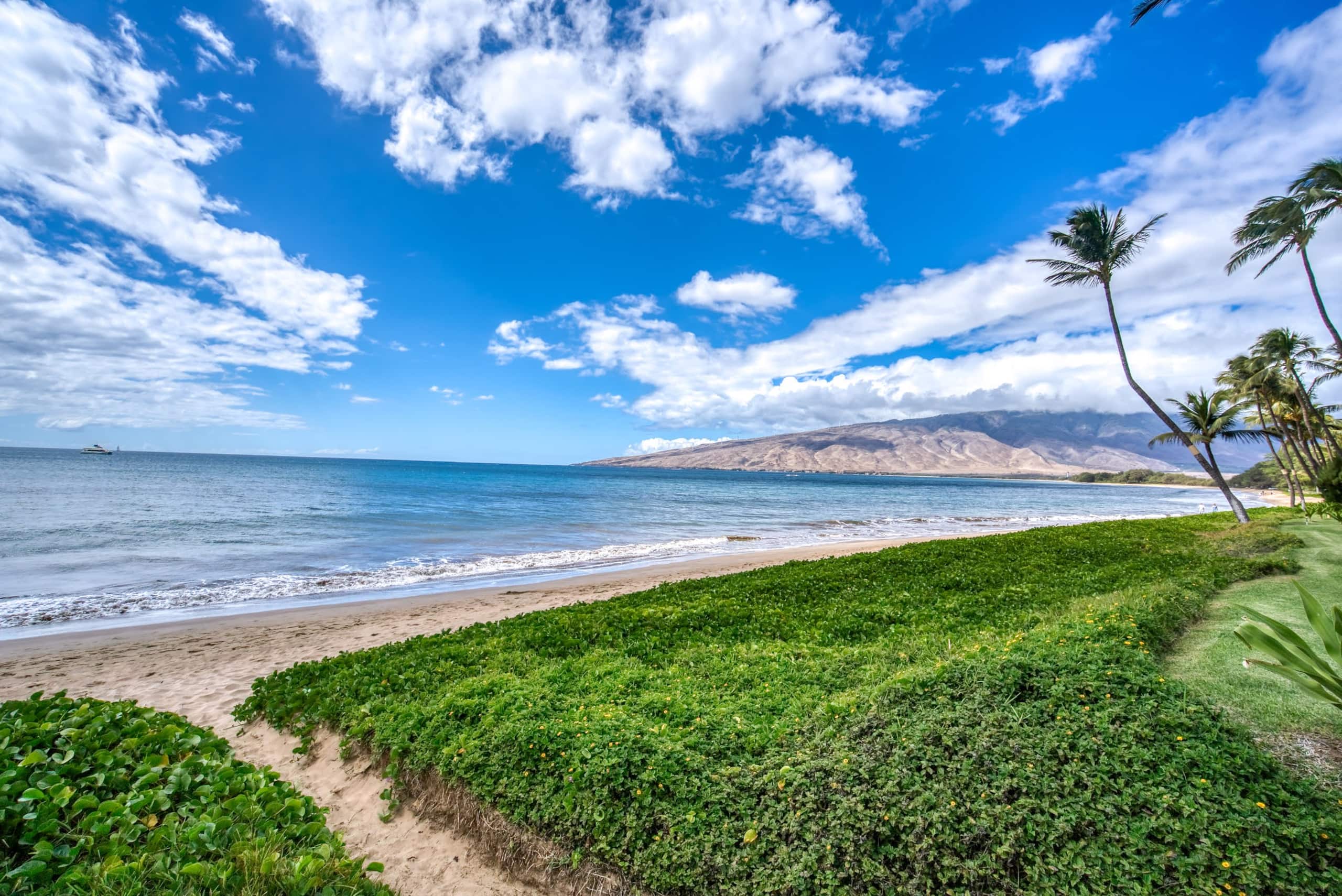 Condo in Kihei · ★4.94 · 1 bedroom · 2 beds · 1 bath - Image 21
