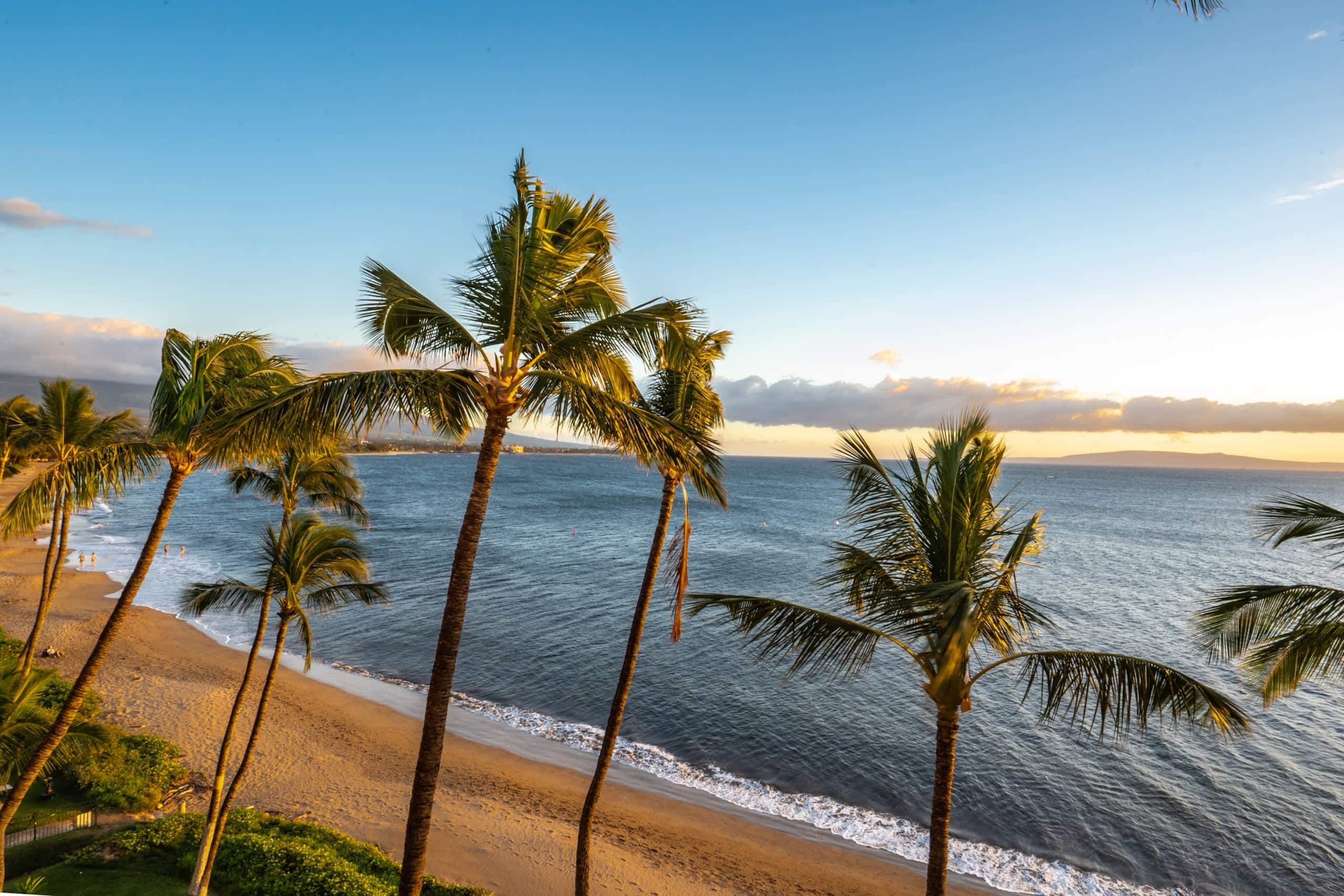 Condo in Kihei · ★4.94 · 1 bedroom · 2 beds · 1 bath - Image 27
