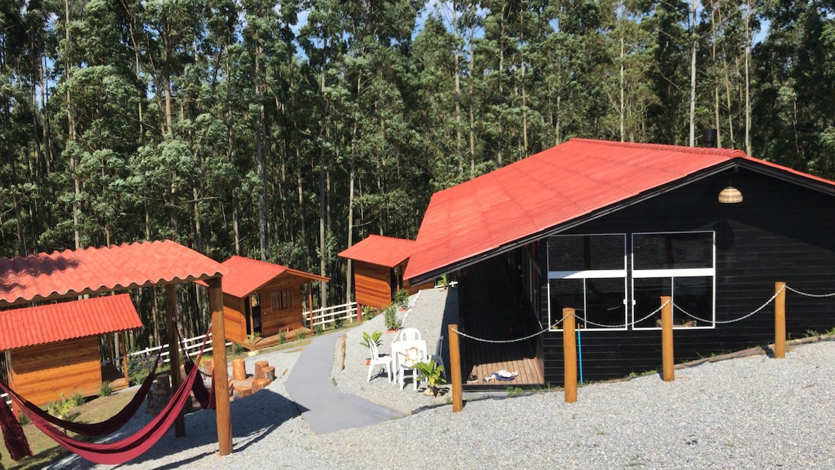 A cluster of cabins with red roofs is set among tall trees, featuring a gravel pathway that connects them. A hammock is visible hanging between two posts, and white outdoor chairs sit near a stone fire pit, creating a serene outdoor space.