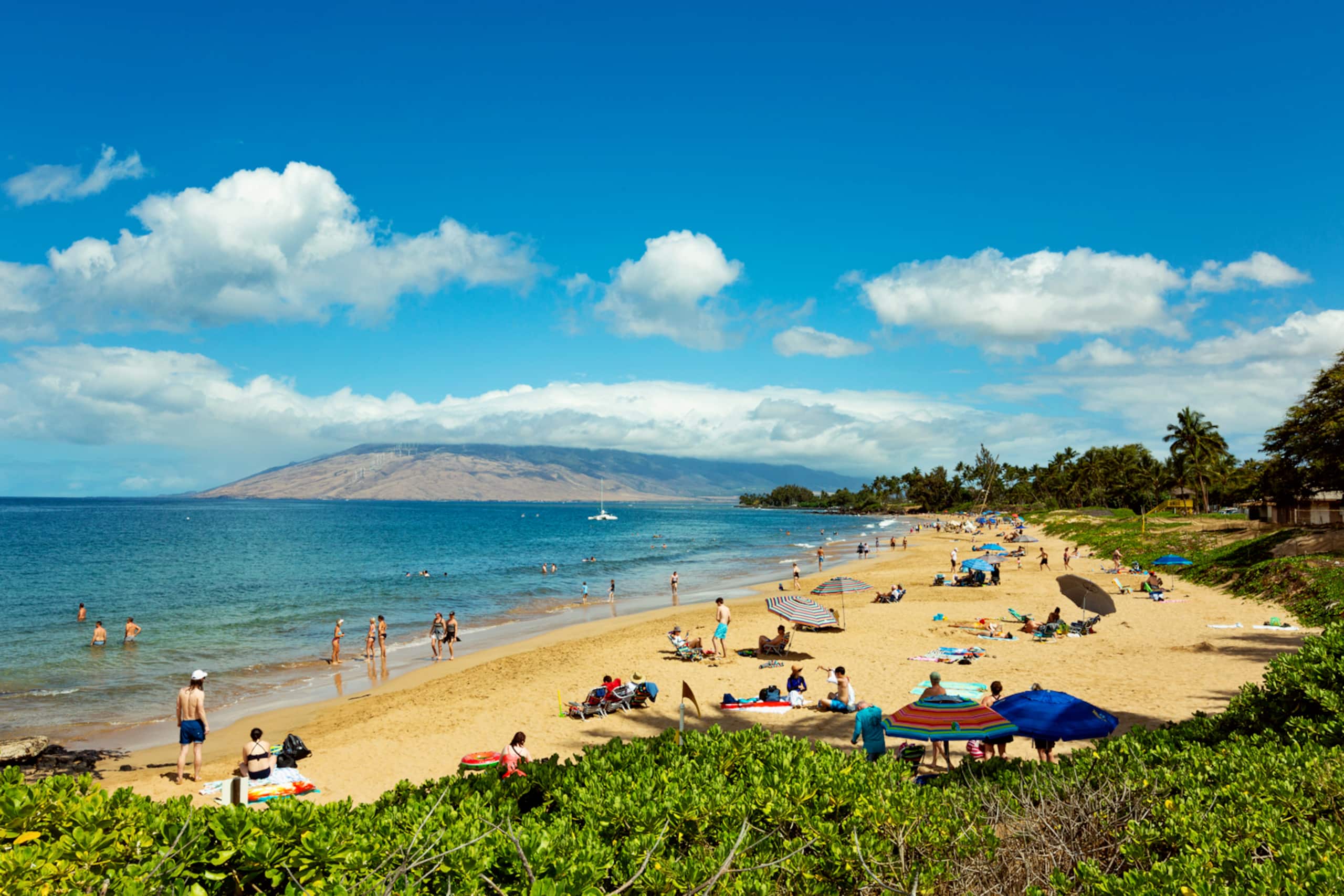 Condo in Kihei · ★4.83 · 2 bedrooms · 3 beds · 1 bath - Image 5
