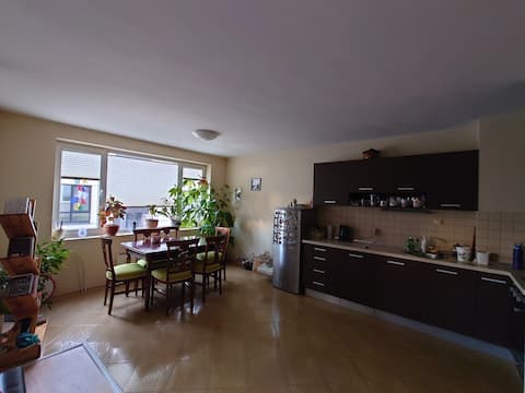 Entire rental flat in a great location in Sofia