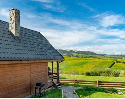 Cabin with fireplace and beautiful view 1
