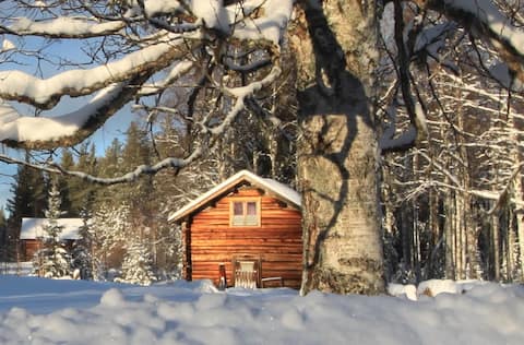 * Timeout in Lapland * Blockhütte “Timeout-Cabin”