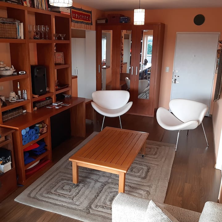 Departamento de 2 ambientes con balcón en Vicente López