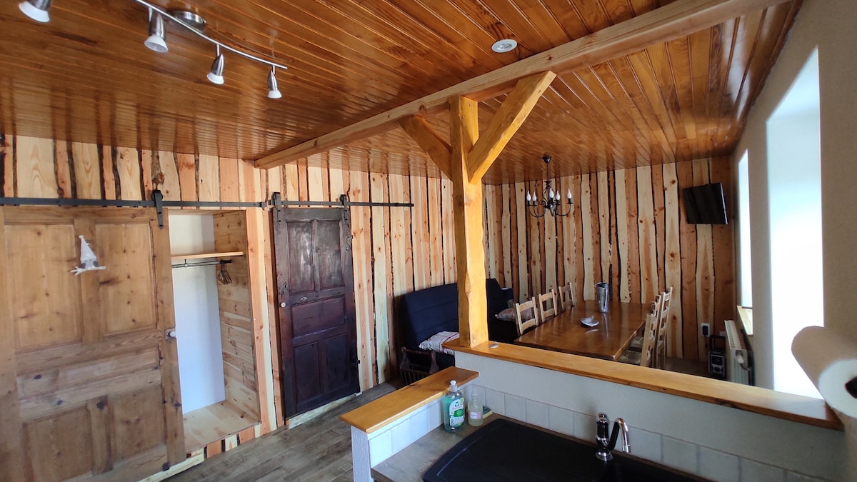 A rustic interior features wooden walls and ceiling, enhancing the natural ambiance. A dining table is surrounded by several chairs, while a cozy seating area is provided. A sliding door offers access to a closet, and a sink is positioned in the kitchen area.