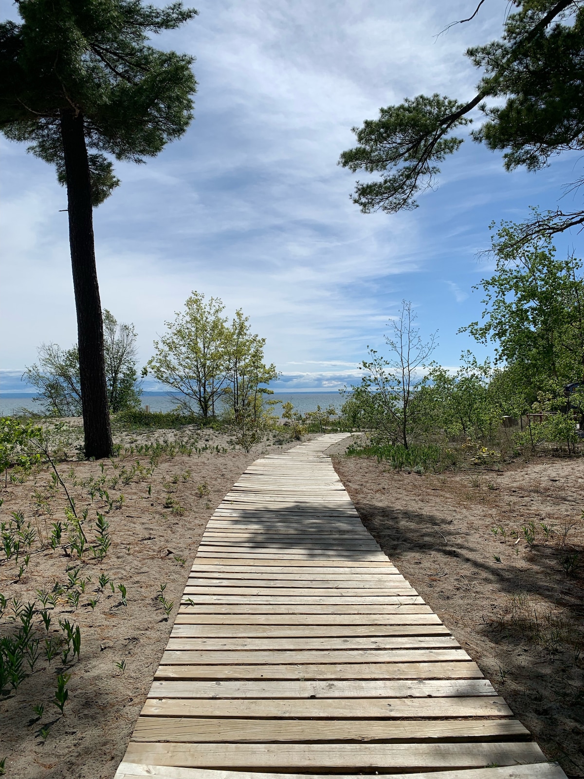 A sandy pathway leads to the water's edge, bordered by greenery and trees. The wooden walkway curves gently, inviting exploration. In the distance, a glimpse of the lake can be seen under a canopy of blue skies and scattered clouds.